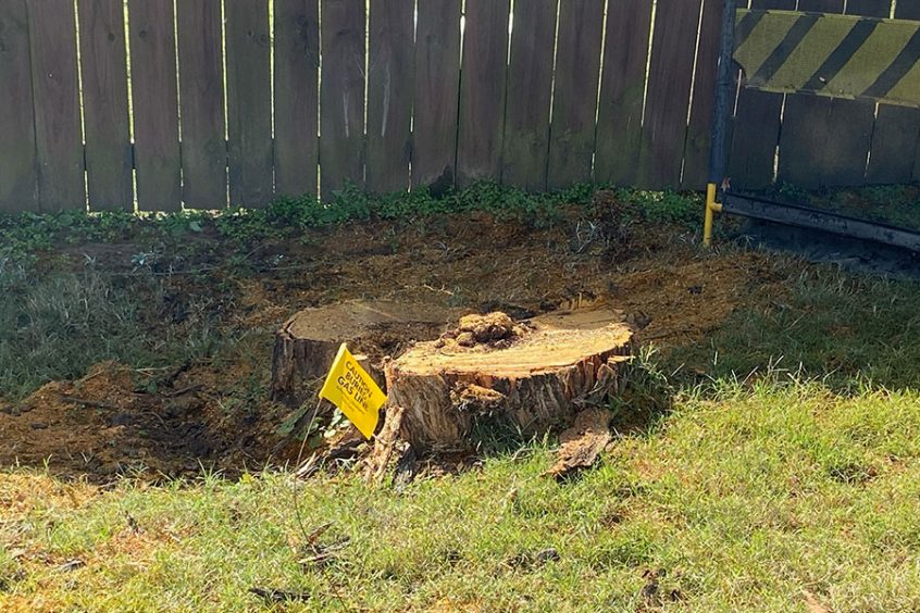 Niblett-Brush-Hogging-Land-Management-Stump-Grinding-1