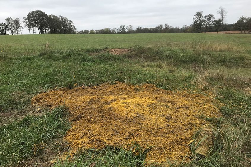 Niblett-Brush-Hogging-Land-Management-Stump-Grinding-5