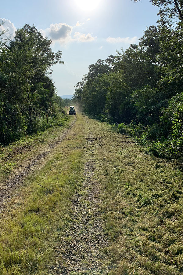 Niblett-Brush-Hogging-Land-Management-Boom-Mowing-3