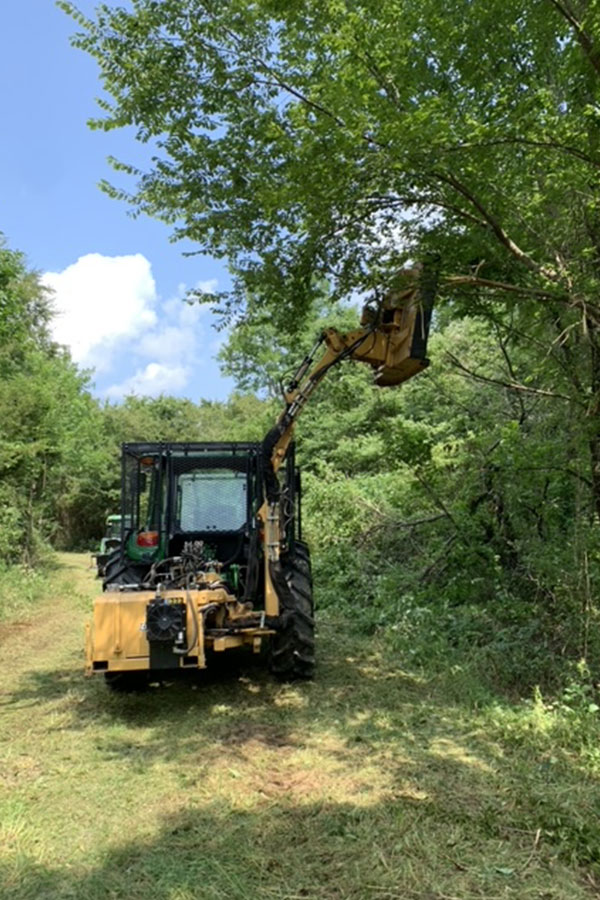 Niblett-Brush-Hogging-Land-Management-Boom-Mowing-6