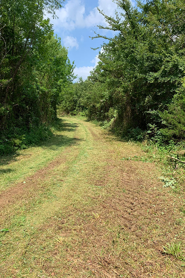 Niblett-Brush-Hogging-Land-Management-Boom-Mowing-8
