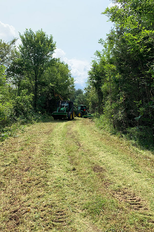 Niblett-Brush-Hogging-Land-Management-Boom-Mowing-9