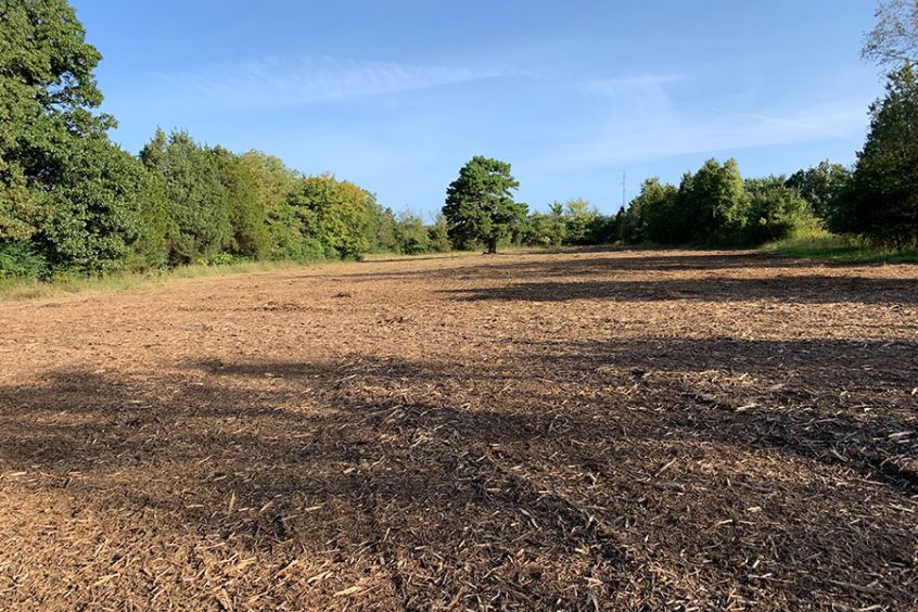 Niblett-Brush-Hogging-Land-Management-Mulching-3